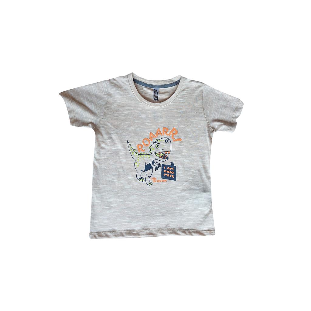 CAMISETA NIÑO ESTAMPADA BREAK DROLY